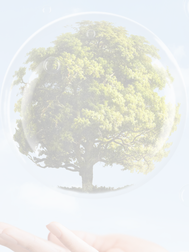 Sustainable Practices